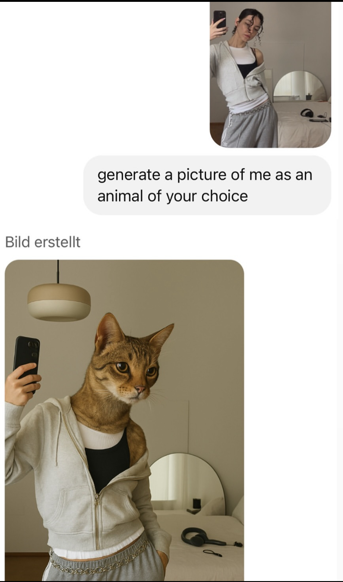 Sam is a cat